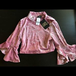 Pink/blush velvet top from LF